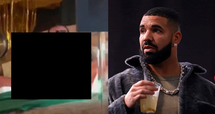 Drake Meat Leak Reddit